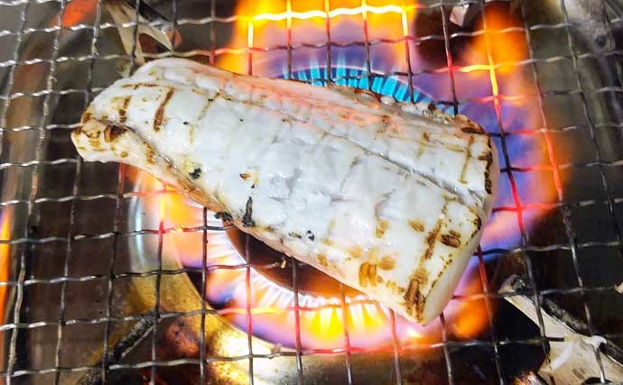 釣りのゲスト魚レシピ：イスズミのたたき　美味な時期は冬に限定？