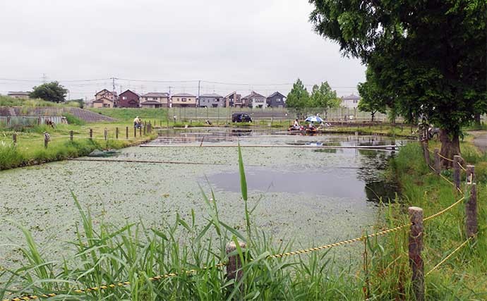 今週のヘラブナ推薦釣り場【埼玉・吉川運動公園】