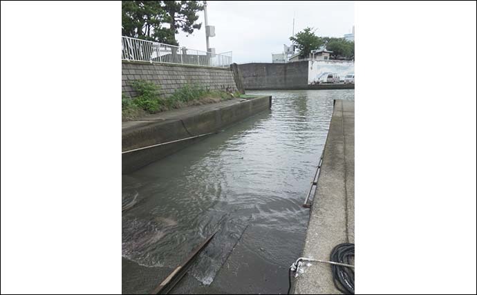 ハゼ＆テナガエビの好釣り場紹介：相模川河口　足場良く家族で楽しめる