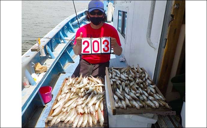 【愛知・三重】沖釣り最新釣果　マダコシーズン本格化にキス100匹超えの爆釣