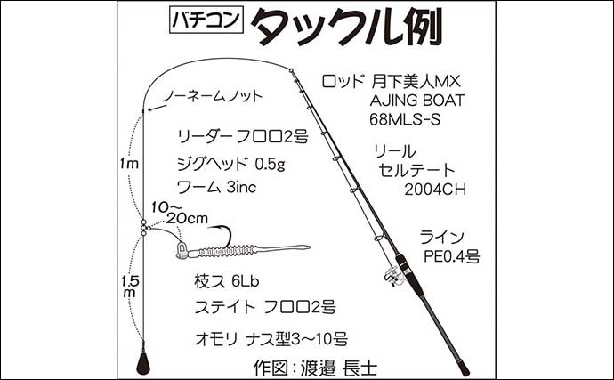 陸＆沖でのアジ釣り仕掛け徹底解説　大型狙いにオススメの釣り方は？