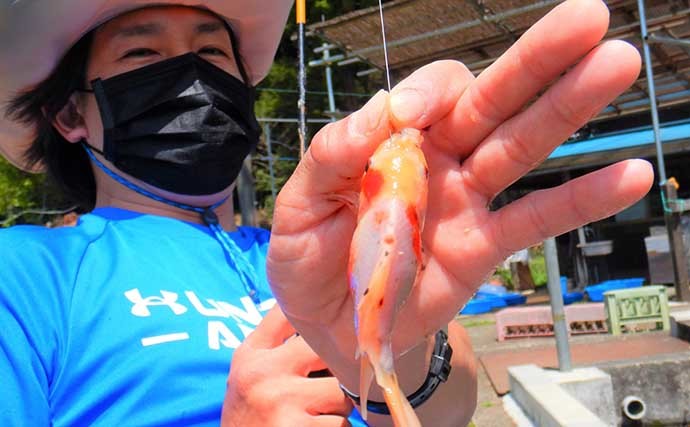 淡水釣り堀で子連れキンギョ釣り　ウキ不使用の見釣りが難しくて面白い