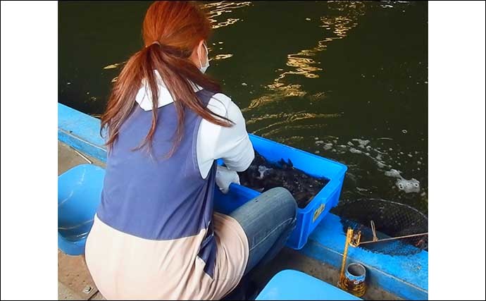 管理釣り場へ子連れ釣行　22O尾の激釣でお菓子大量ゲットに子供歓喜