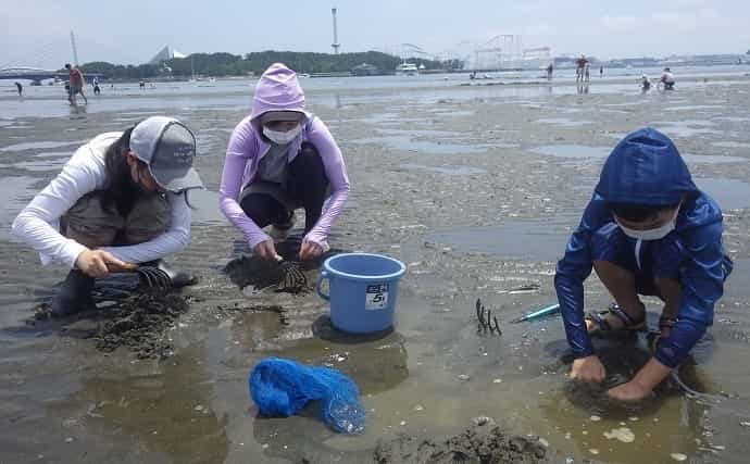 家族で潮干狩り満喫　アサリ1.7kgにツメタガイ27個【神奈川・海の公園】