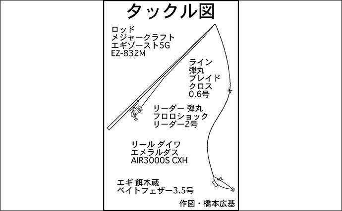 陸っぱりナイトエギングで1.65kgアオリイカ手中　中層狙いが奏功