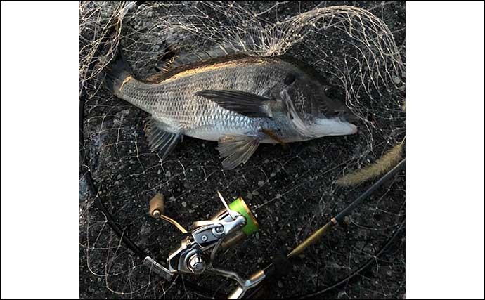 陸っぱりルアー釣りの革新的アイテム7選　買ったら釣りが変わった？