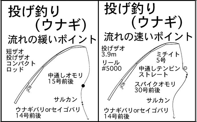 木曽川で釣り入門　【代表的な対象魚5選と立田周辺のポイントを紹介】