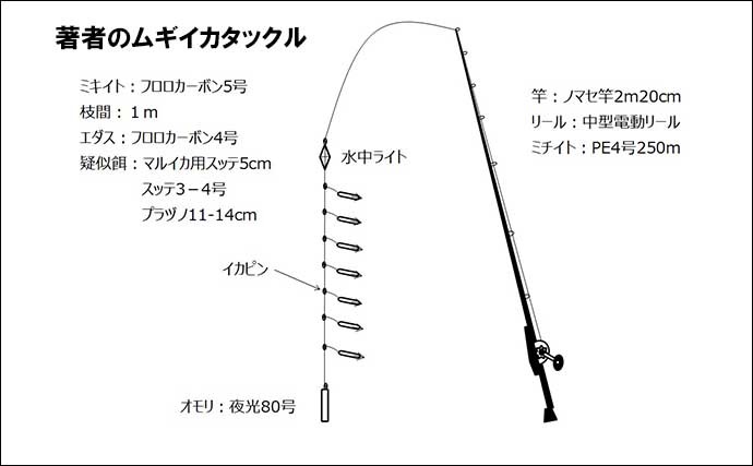 上越ムギイカ釣りで44杯　時合いをとらえて最多6点掛け【新潟・金栄丸】