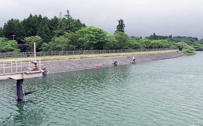 今週のヘラブナ推薦釣り場2022【静岡・田貫湖】