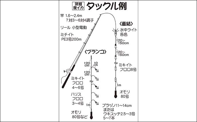 【2022年】茨城沖の夜イカ釣り入門　タックル・指示ダナ・シャクリ方