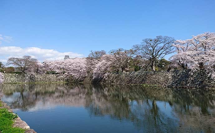 琵琶湖で「観光＋バス釣り」：彦根エリア　釣り飯は駅弁で決まり？