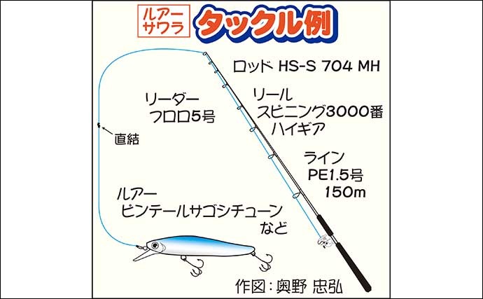 東京湾奥でサワラ祭り開催中　ボートキャスティングゲームで全員安打