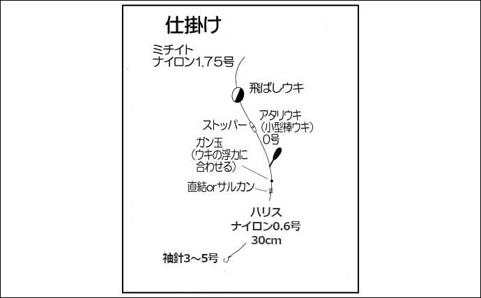 サヨリ釣り徹底攻略　仕掛け3パターンの特徴＆釣り方解説