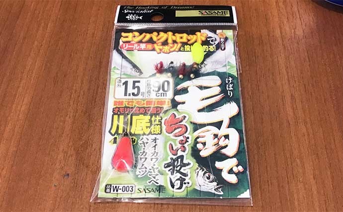 落とし毛針仕掛けで15cm頭にカワムツ2桁釣果　シーズン前倒しか？