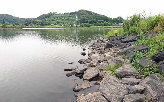 ヘラブナ釣りとセットで楽しみたい郷土料理：福島・高子沼といかにんじん