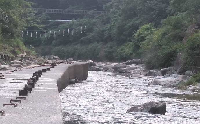 兵庫・一庫大路次川のアユトモ釣りで50匹超え　下流部では入れ掛かりに