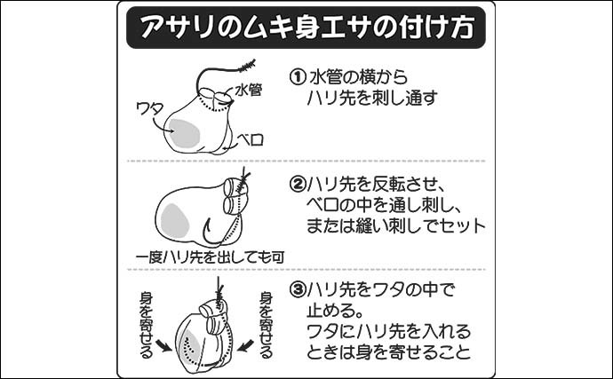 船カワハギ釣り入門　【初心者でも出来る誘い・アワセ方を徹底解説】