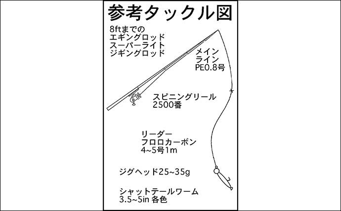 【2021中部】夏の定番『スイミングハタゲーム』入門　簡単だけど大興奮