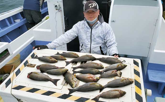 【愛知】沖のエサ釣り最新釣果　大山沖イサキ絶好調で数釣りチャンス