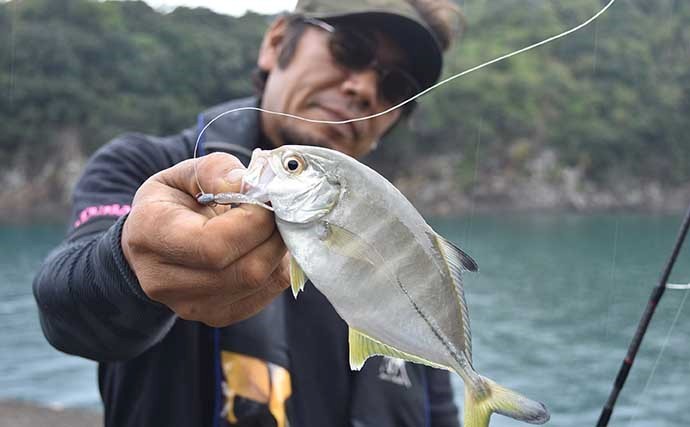 新子アオリ狙いのエギングで連発　『釣りドコ』活用で全場所ヒット達成