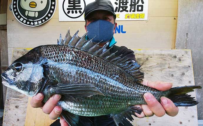 【三重】イカダ＆カセの最新釣果　各地で『年無し』クロダイ順調ヒット