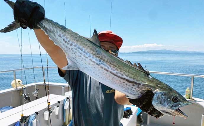 クロダイのヘチ釣りにおける【基本装備＆あると便利な釣行アイテム】