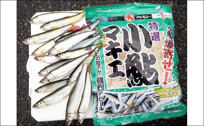 【2022年】琵琶湖の小アユ釣り入門解説　ポイント・タックル・釣り方