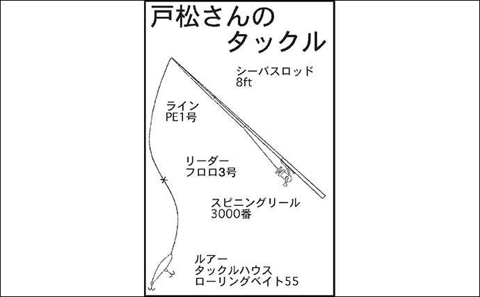 名古屋港ナイトシーバスゲームで本命70cm　大潮干潮の橋脚周りでヒット