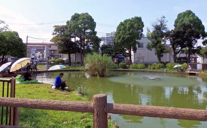 今週のヘラブナ推薦釣り場【東京都・元渕江公園】