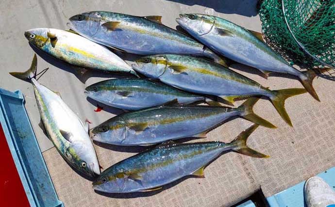 【福岡】落とし込み最新釣果　4〜5kg級ヒラマサ＆ブリが続々お目見え