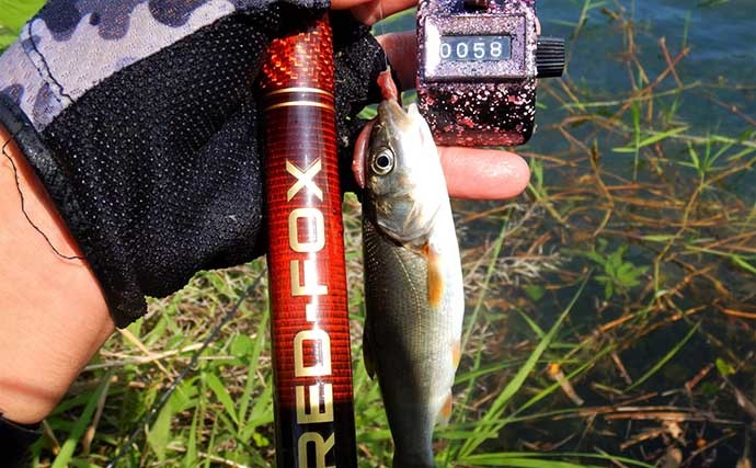 山梨県の鶴川で清流小物釣り堪能　半日のミャク釣りで6魚種58尾の好釣果