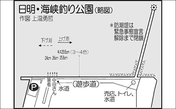 夜の投げキス釣りで26.5cm頭に12尾　ダブルヒット頻発で快引を堪能