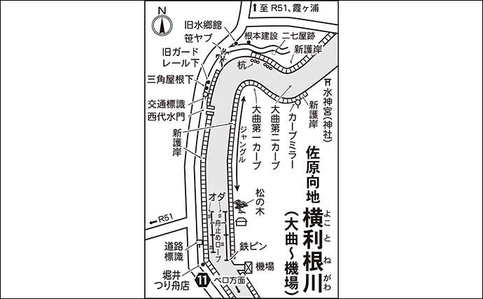 今週のヘラブナ推薦釣り場【茨城県・横利根川】