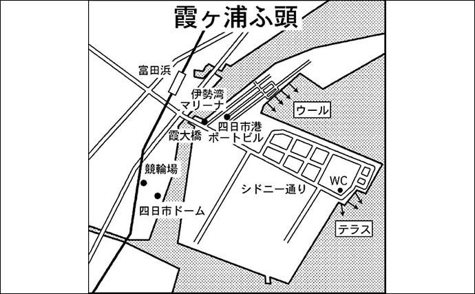 堤防での夜釣りで本命アナゴ12匹手中　ふ頭の真下狙いが的中