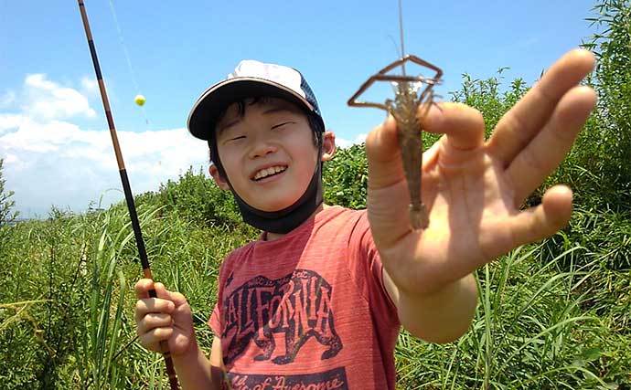 息子と楽しむテナガエビ釣り　止水エリア狙い連発【神奈川・酒匂川】