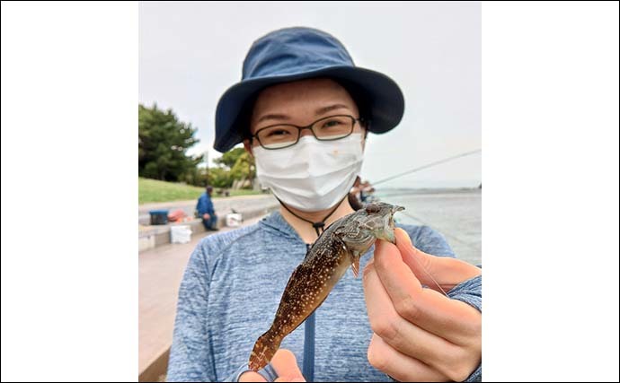 横須賀海辺釣り公園で胴突き＆サビキ釣り　時合いにイワシが入れ食いに