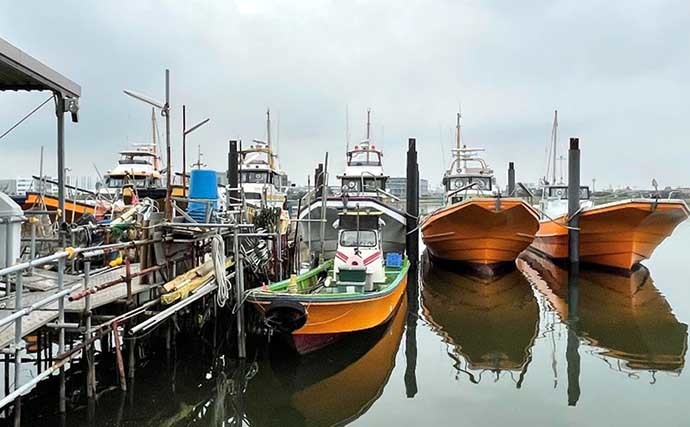 東京湾ショウサイフグの「旬」到来　白子入り良型手中【東京・えさ政】