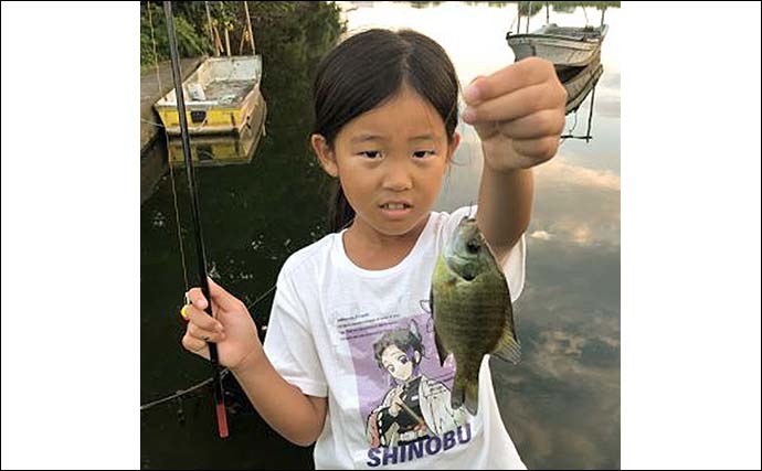 子供と一緒が楽しい「小物釣り」　ハゼにブラックバスにブルーギル連発