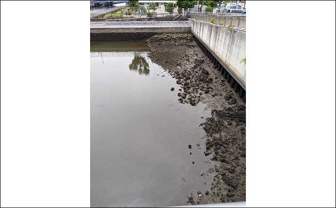 今さら聞けないハゼ釣りのキホン：釣り場の見つけ方と現着からの流れ