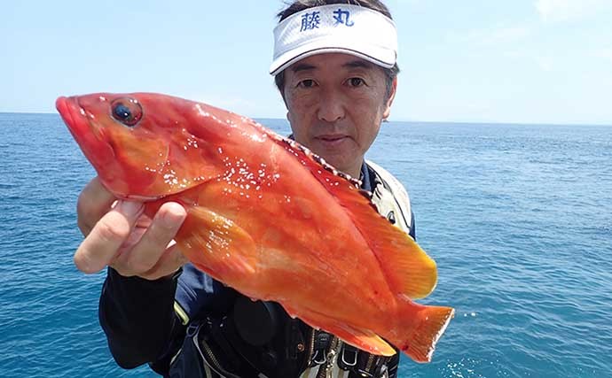 磯でのブッコミ釣りでキロ級頭にアカハタ連打　本格シーズンを予感