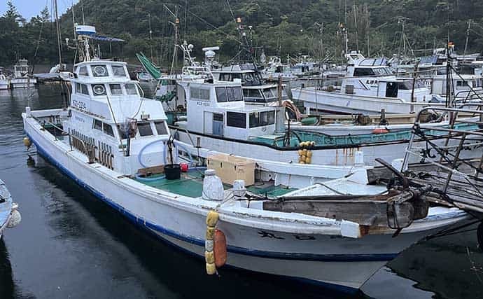 屋久島の大型アオリイカに挑戦 ジギングとエギングの融合仕掛けとは？