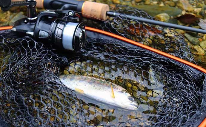 海のルアー釣り愛好家が渓流釣行でのファーストフィッシュ手中に感動