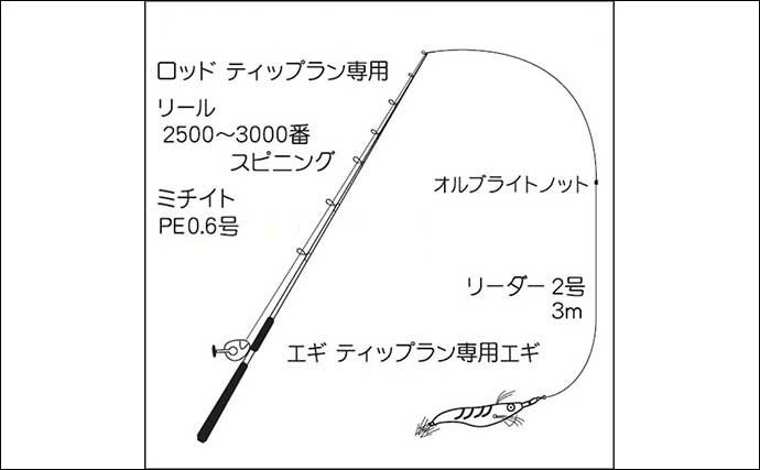 ティップランエギング攻略！　タックル選定＆釣り方イラスト解説