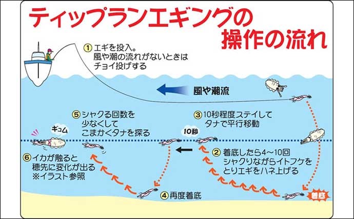 ティップランエギング攻略！　タックル選定＆釣り方イラスト解説