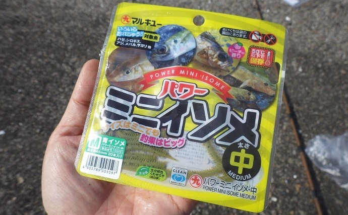 デキハゼ狙って3時間で78匹　「見釣り」で入れ食い堪能【千葉・船橋港】