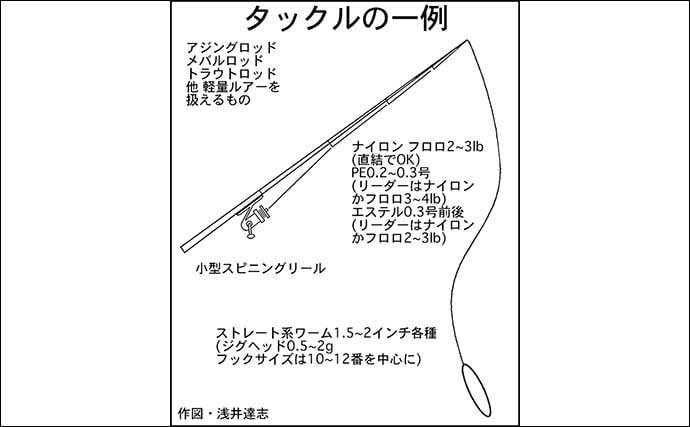 陸＆沖でのアジ釣り仕掛け徹底解説　大型狙いにオススメの釣り方は？