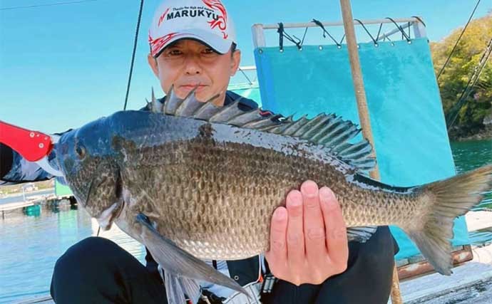 【三重】イカダ＆海上釣り堀最新釣果　カカリ釣りで大型クロダイ好調