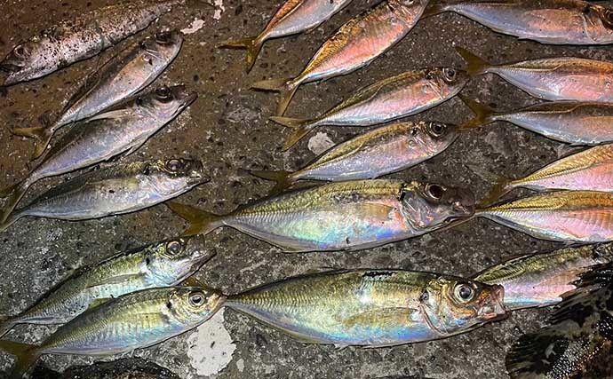 陸っぱりルアー釣りファンが思う【アジ釣りの魅力】　ハマりすぎ注意？