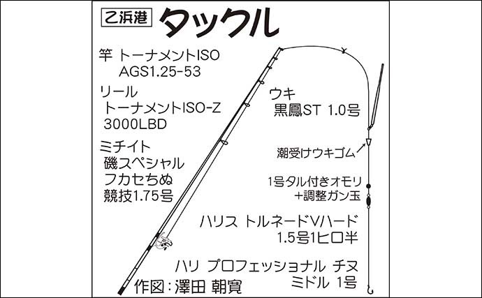 フカセクロダイ釣りで本命不発もウルメイワシが好土産【千葉・乙浜港】