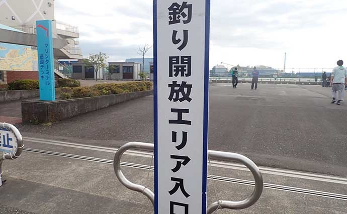 普段は立ち入り禁止の岸壁でフカセ釣り　48cm頭にクロダイ2匹手中